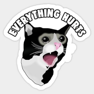 Everything Hurts Cat Crying Meme Sticker